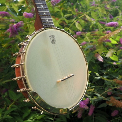 banjo instrument